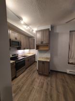 NEWLY RENOVATED APARTMENT IN HISTORIC ELLIOT PARK - Photo 1 of 1