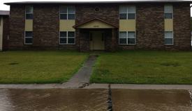 MIMOSA 3005 - Photo 1 of 1