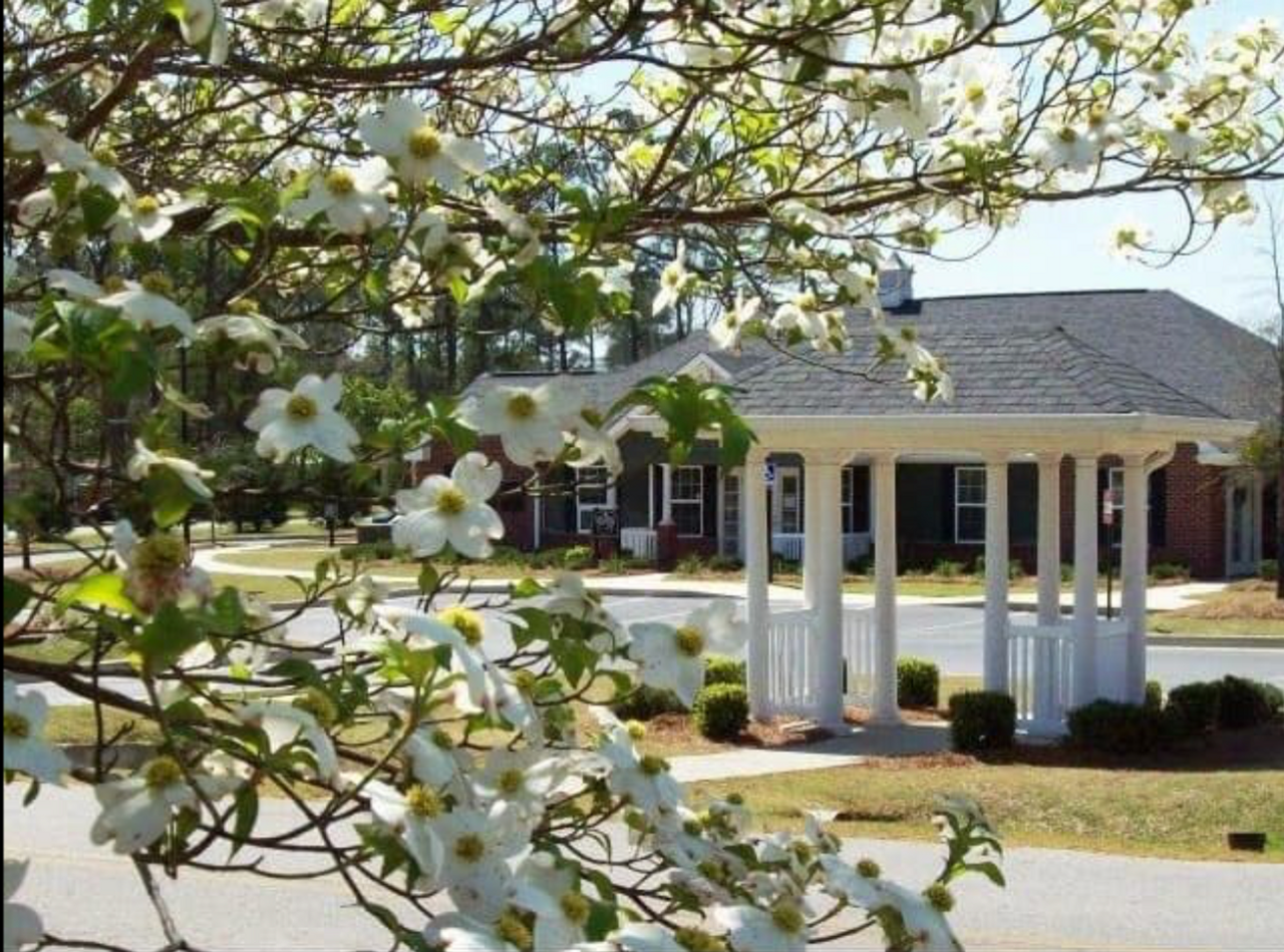 1st month free with 13 month lease! - Photo 7 of 14