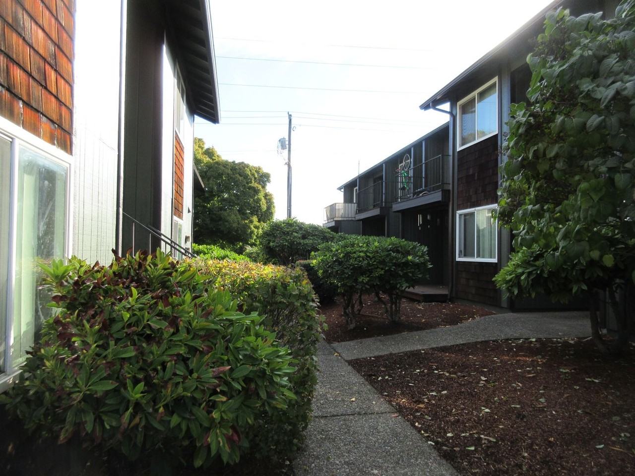 1559 Commercial St Se - Photo 2 of 21