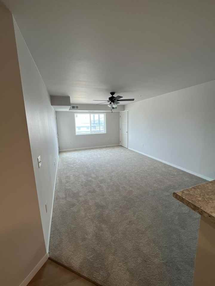 Falcon Apartments 4 - Photo 3 of 50