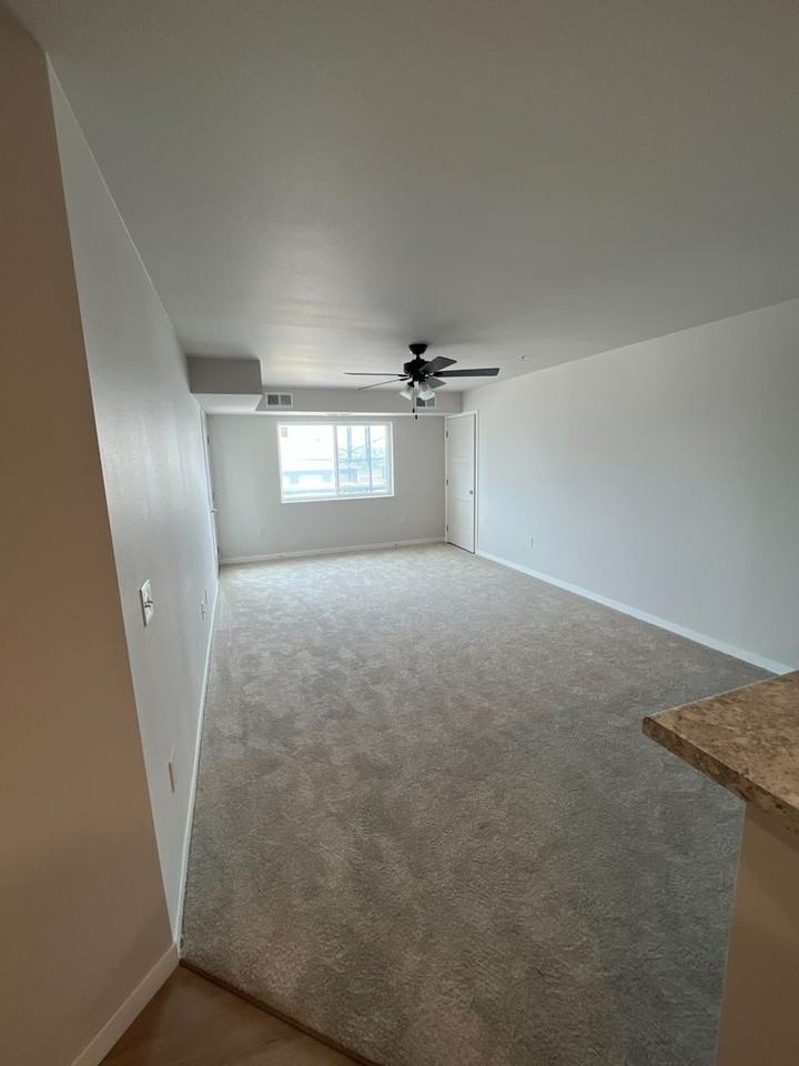 Falcon Apartments 3 - Photo 3 of 17