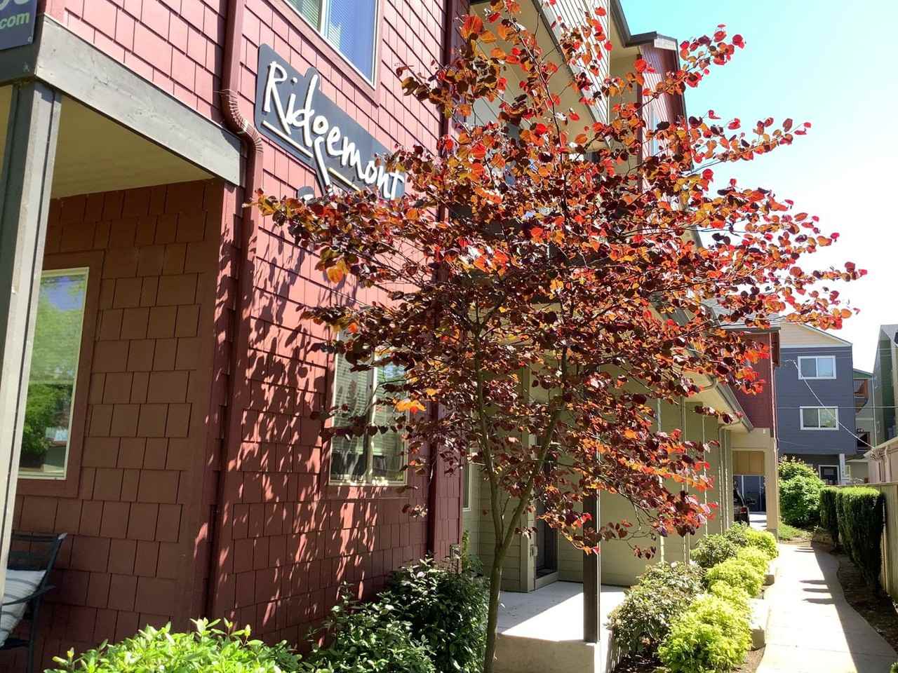 The Ridgemont - Photo 4 of 47