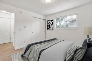 The Woods - Photo 1 of 1