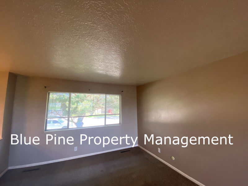 2215 Sykes Dr - Photo 4 of 14