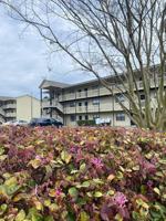 featured image of 115 Brownlea Dr