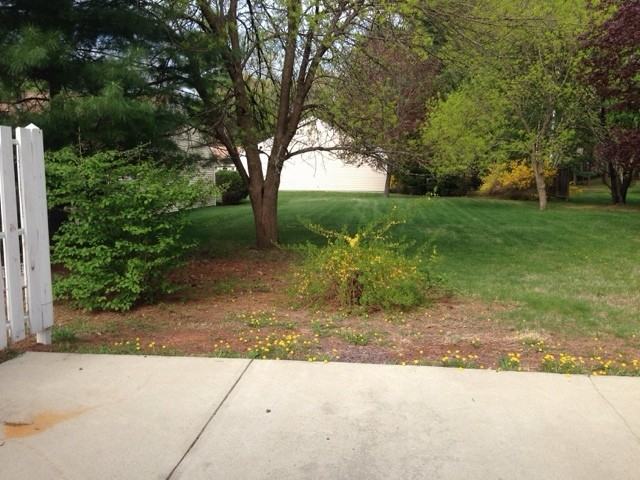 Briston Manor West - Photo 6 of 16