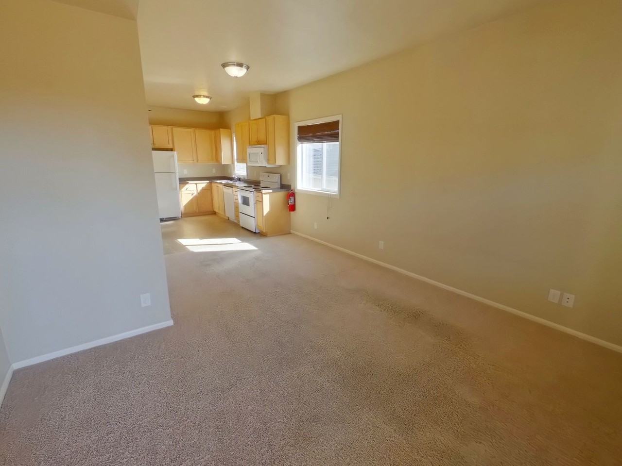 429 East 15th Ave - Photo 2 of 19