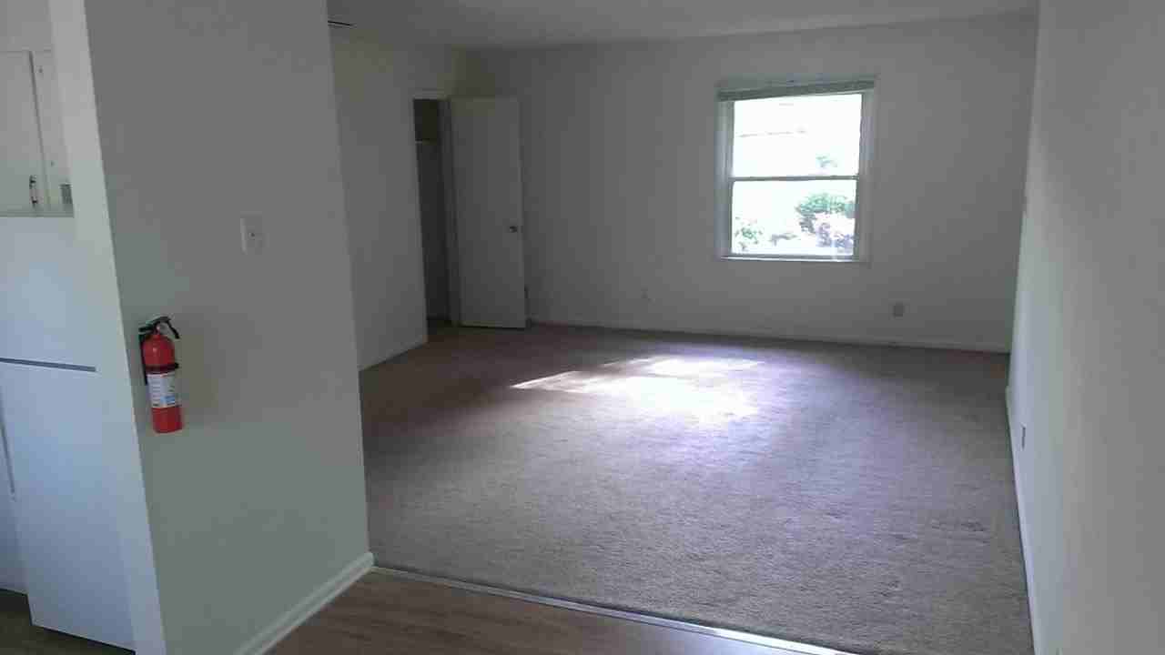 Delane Glen Apartment Affordable 1 bedroom - Photo 4 of 9