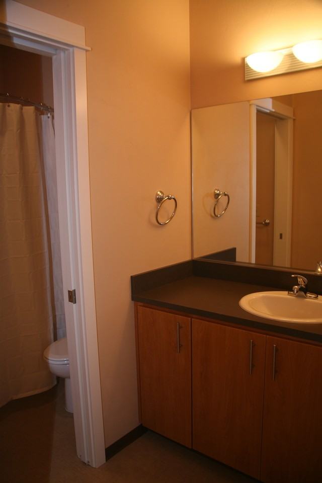 O-Town - Photo 2 of 26