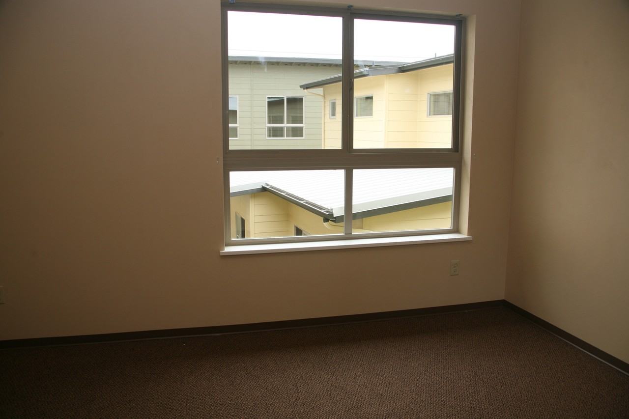 O-Town - Photo 5 of 26