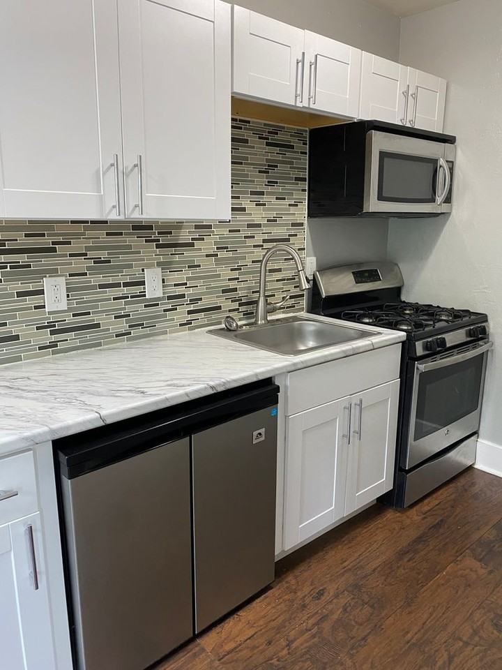 1117 S. Plymouth Avenue - Photo 3 of 15