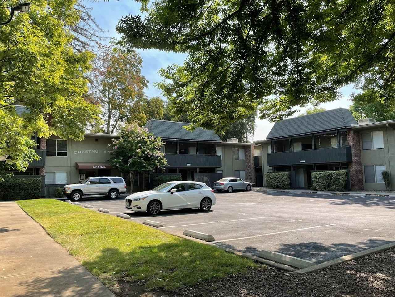 Preleasing for Summer!!  2 Bedroom 1 Bath at 6th & Chestnut - Photo 4 of 6