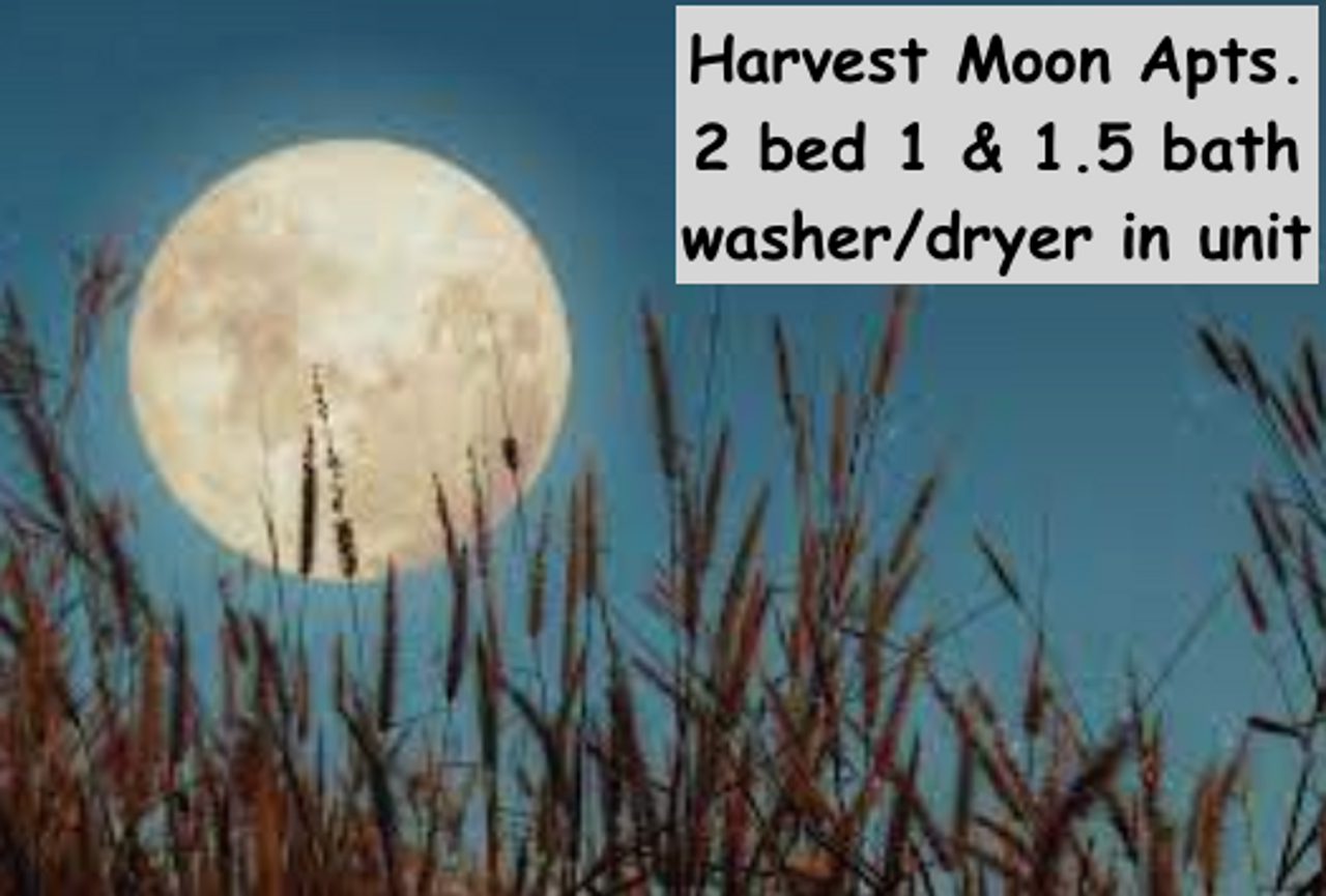 1924 Harvest Moon Apartments in Gillette, WY 82718 Zumper