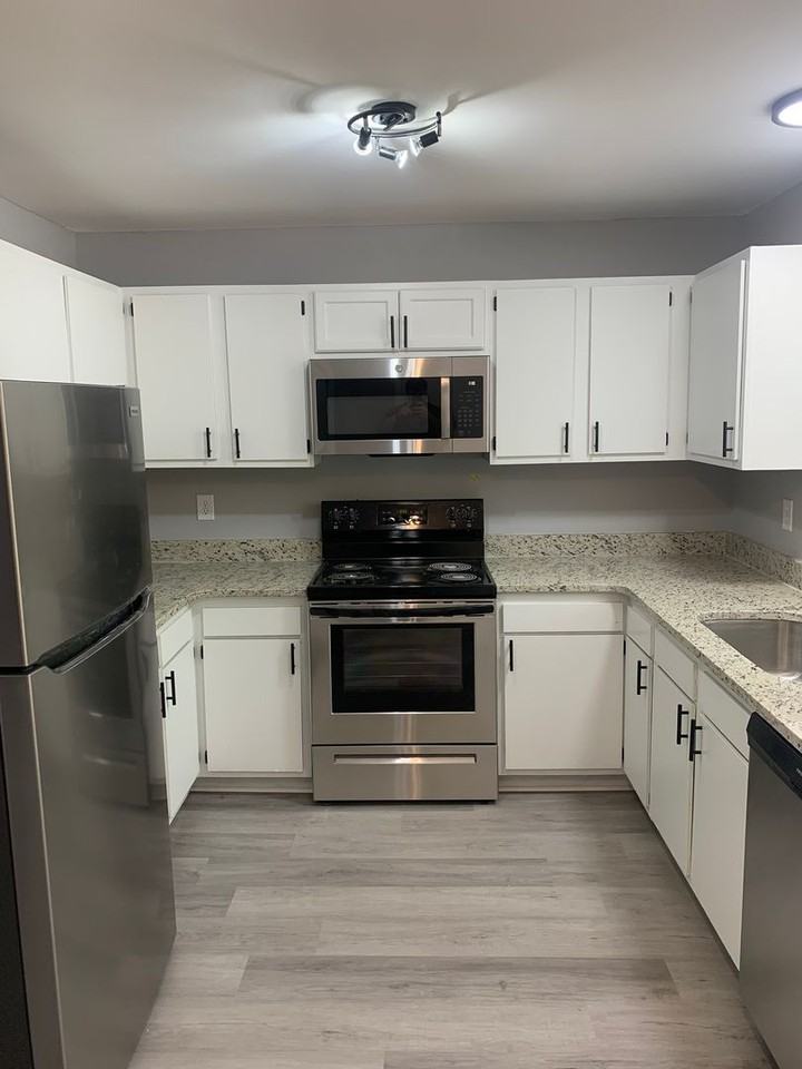 Renovated 2 Bed/2 Bath Unit Across from Vet School in East Athens - Photo 7 of 23