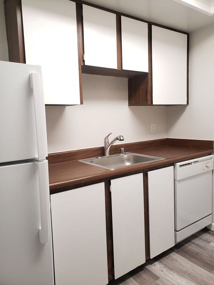 Willow Tree Apartments - Photo 4 of 22