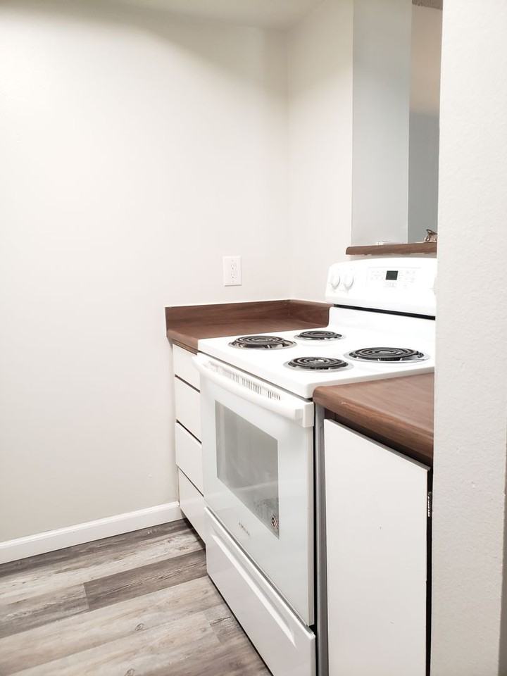 Willow Tree Apartments - Photo 5 of 22