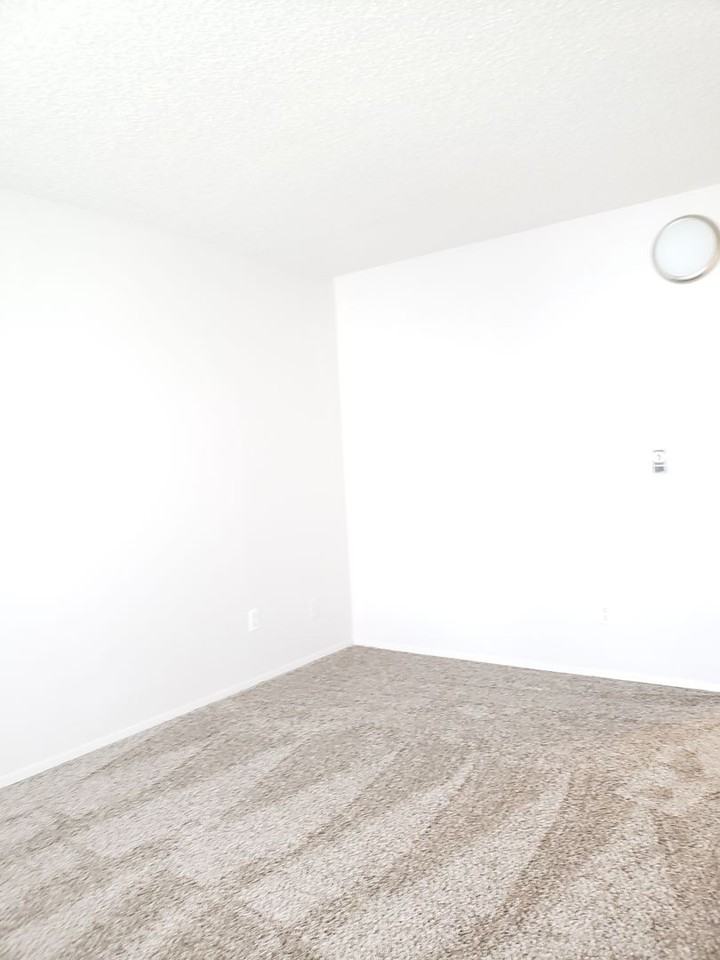 Willow Tree Apartments - Photo 6 of 22