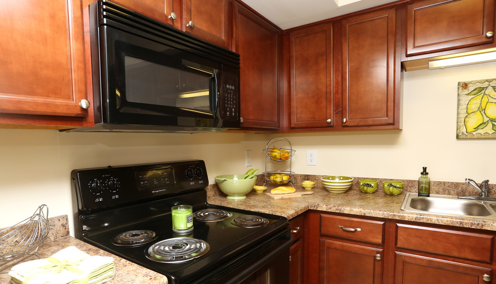 900 The Reserve at Merrick - Photo 4 of 50