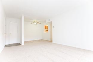 905 Paddock Apartments - Photo 1 of 1