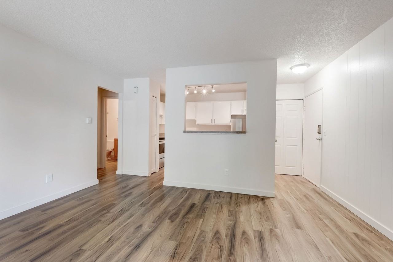 Icon Apartments - Photo 3 of 19