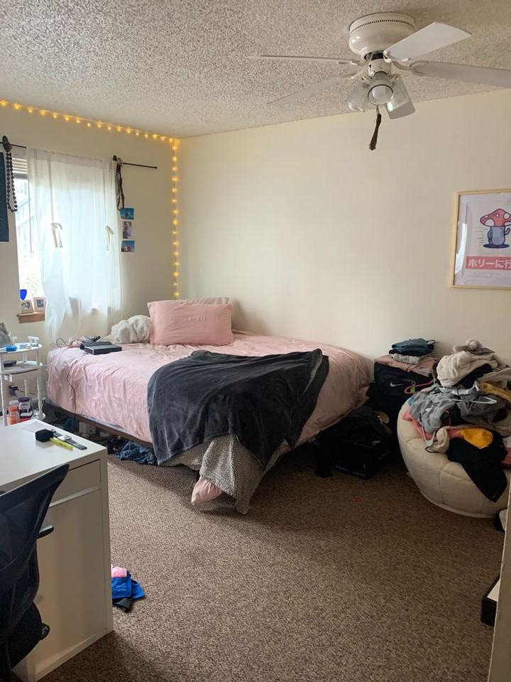 2043 (450) - Photo 4 of 19