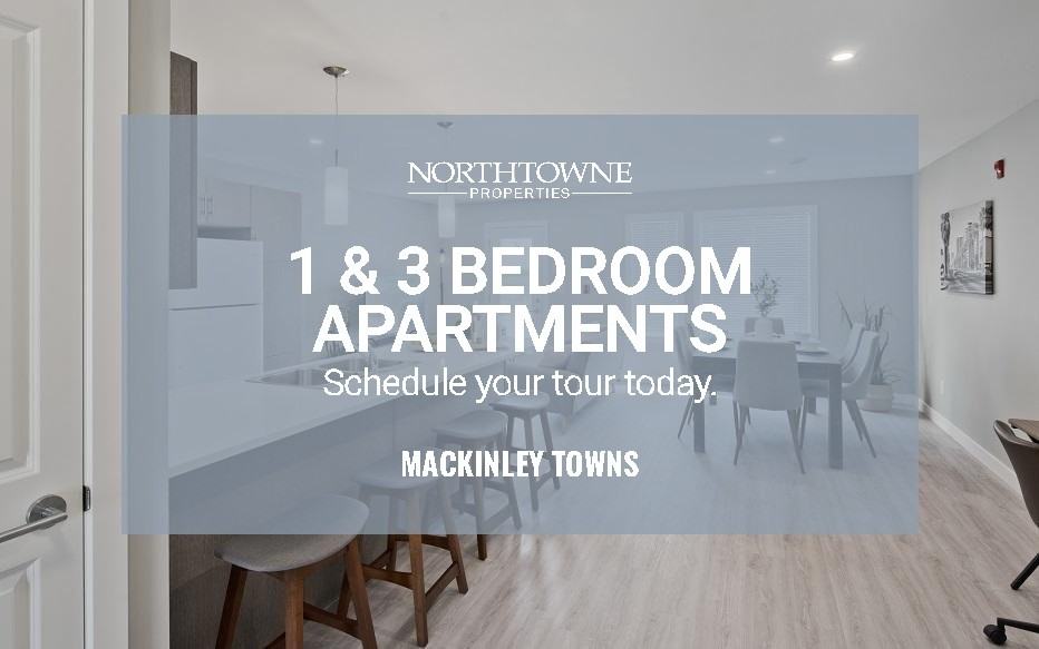 Pet Friendly Houses for Rent in Winnipeg, MB Rental Homes Zumper