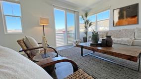 Vinifera - Photo 1 of 1