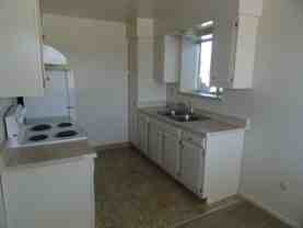 laur241 - Photo 1 of 1