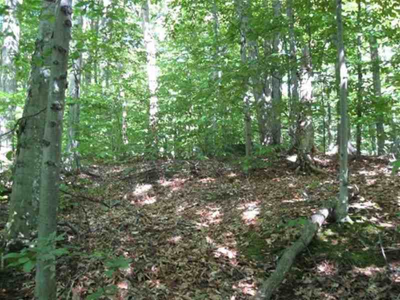 3155 Greenbriar - Photo 3 of 28