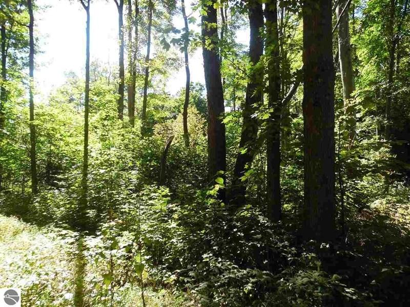 521 Manistee Rd - Photo 2 of 5