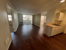 Monterey Pines - Photo 1 of 1