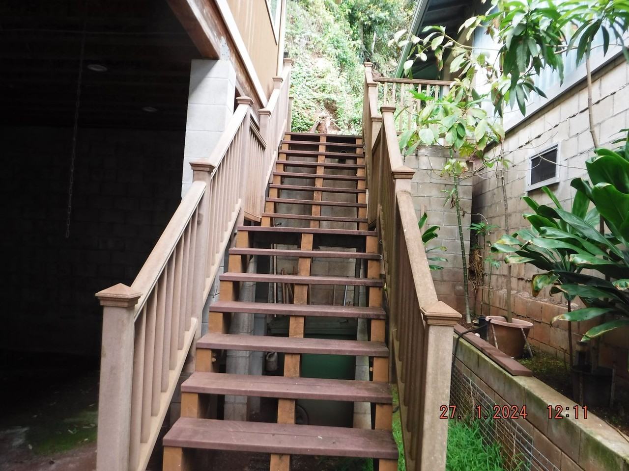 Akepa - Photo 3 of 21