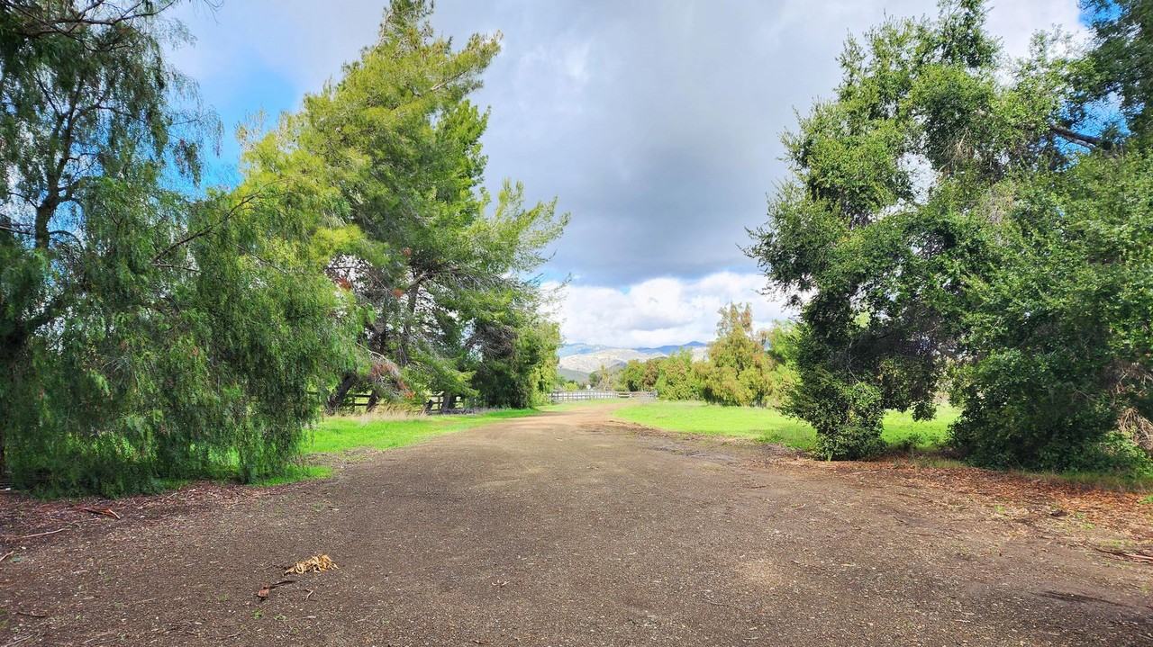 B50100 - Photo 3 of 15