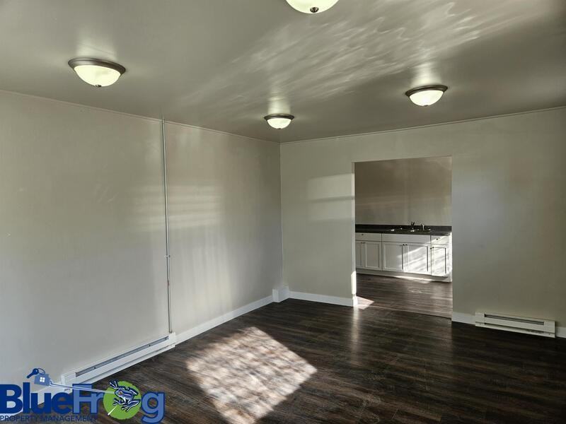 314 S Pearl St - Photo 5 of 9