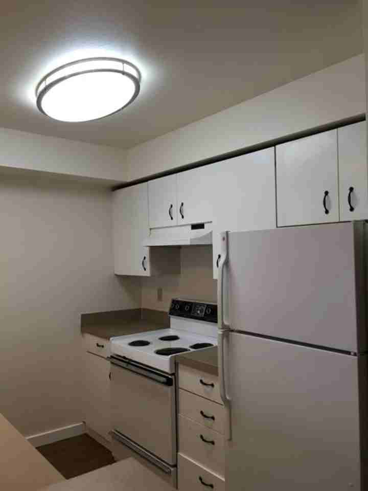 Madison Court - Photo 5 of 30