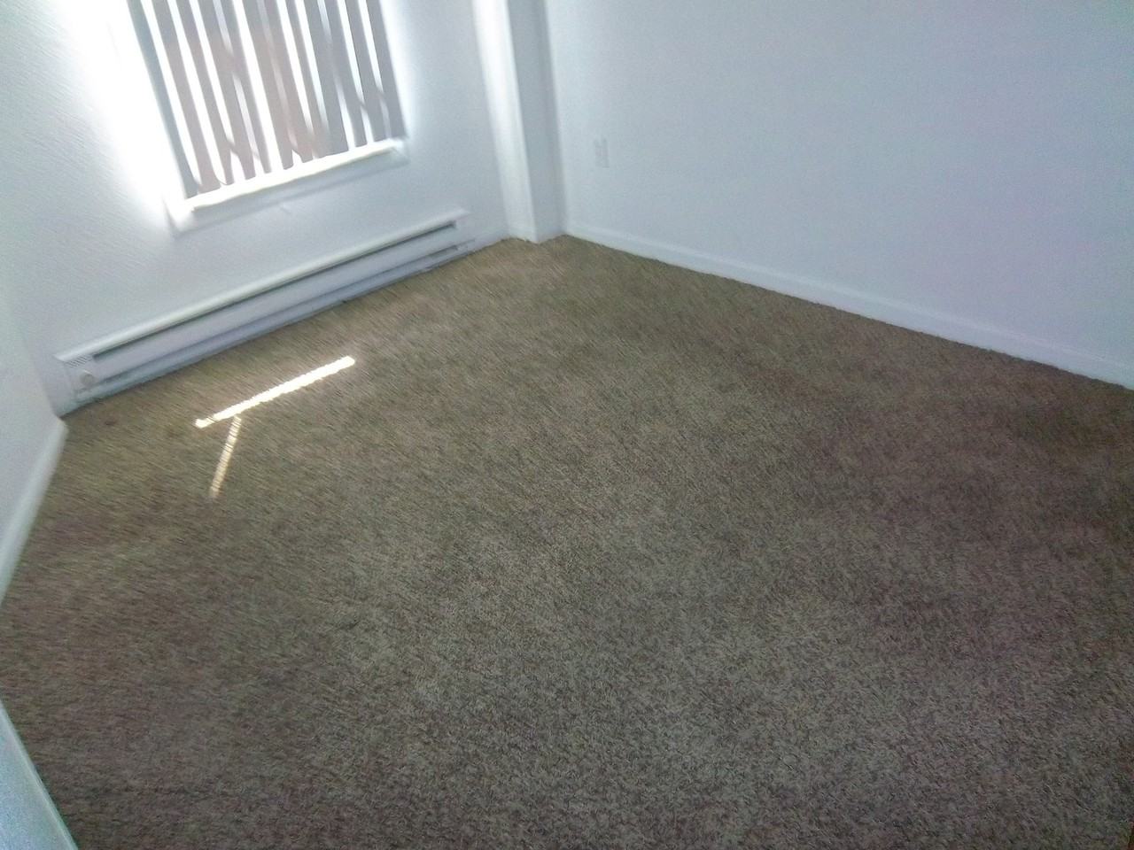 Western Lofts in the Craft District - Photo 3 of 14