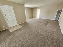 Larch - Photo 1 of 1