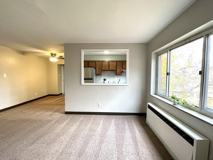 3500 3500 BROWNSVILLE ROADAPT 206 #206 - Photo 1 of 1