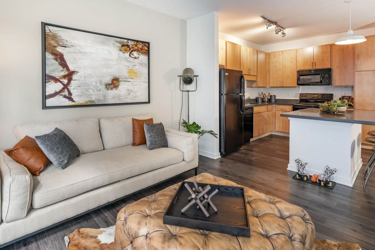 Circa Apartments - Photo 5 of 26