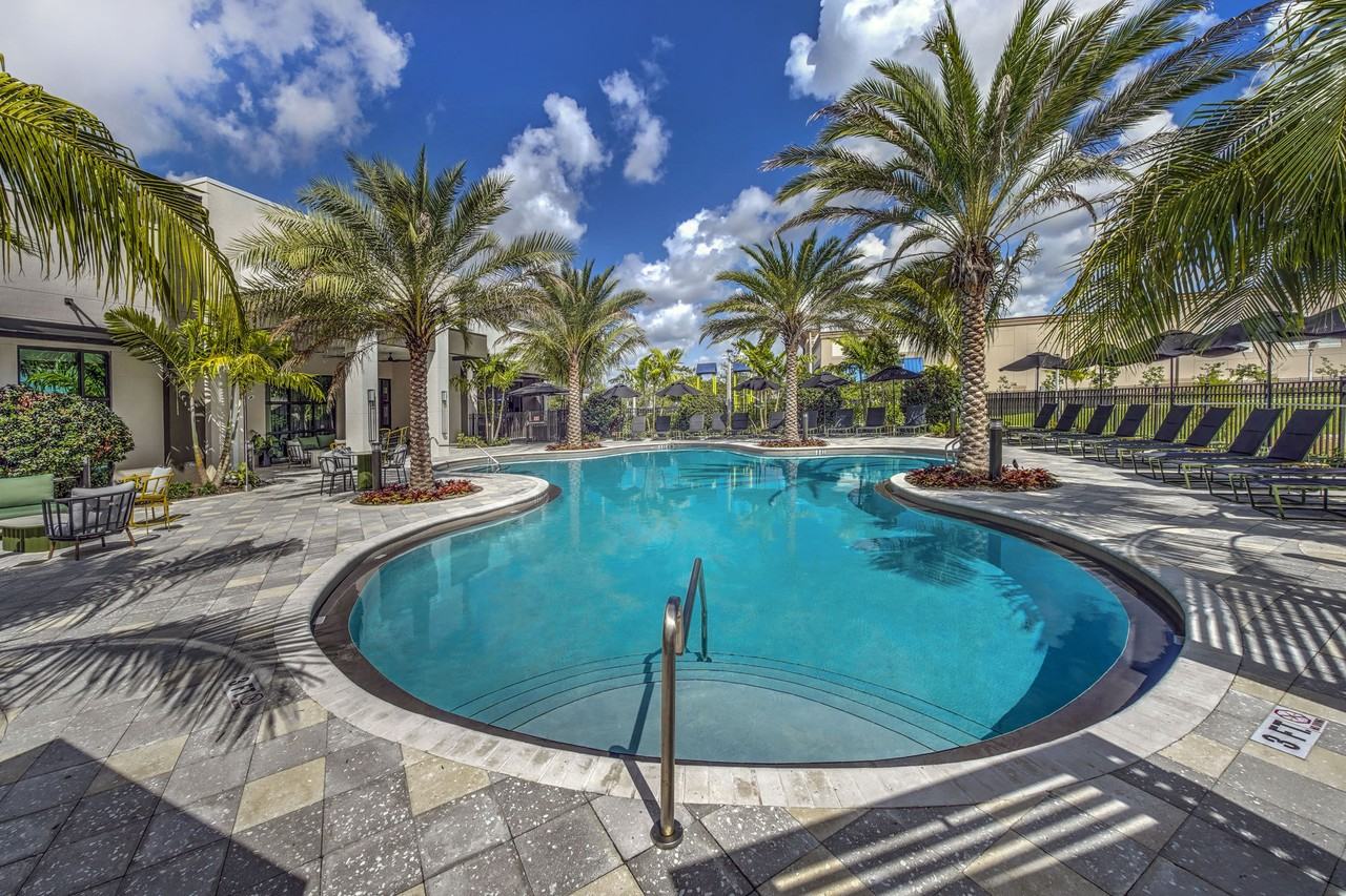 The Pomelo - Photo 5 of 103