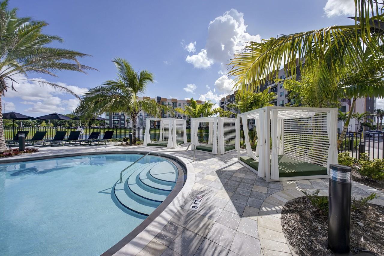 The Pomelo - Photo 6 of 103