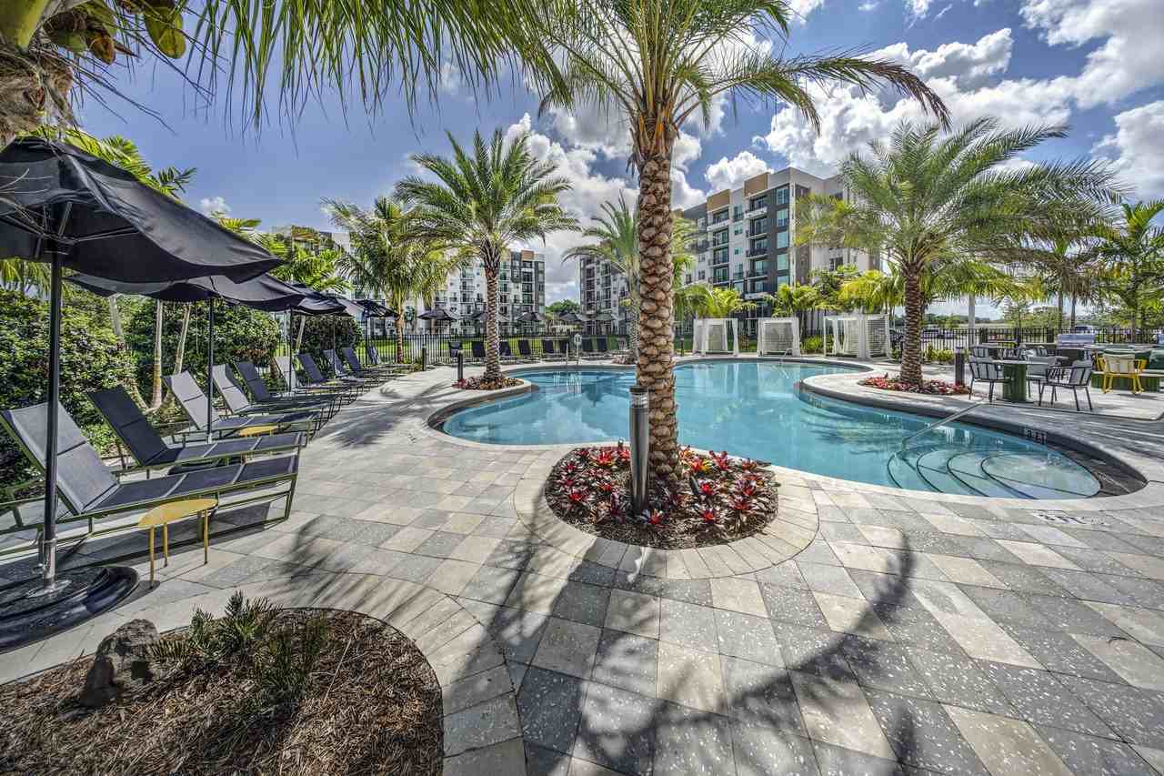 The Pomelo - Photo 7 of 103