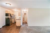 Birch Tree Apartments - Photo 3 of 42