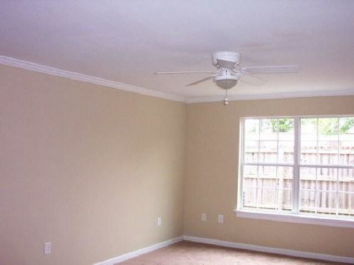 446 Park Avenue - Photo 3 of 8