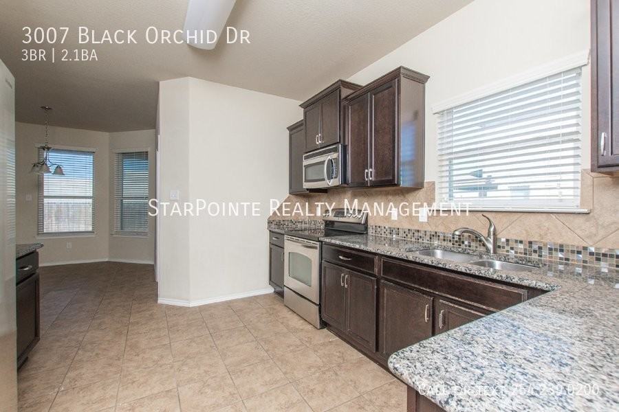 3007 Black Orchid Dr - Photo 7 of 27