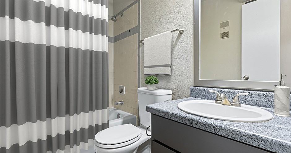 Venue at 8651 Apartments - Photo 5 of 41
