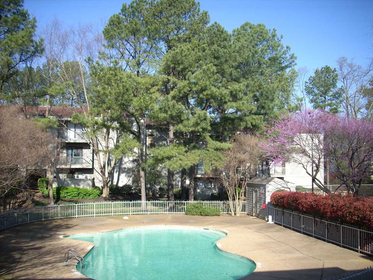 Poplar Pines - Photo 4 of 5