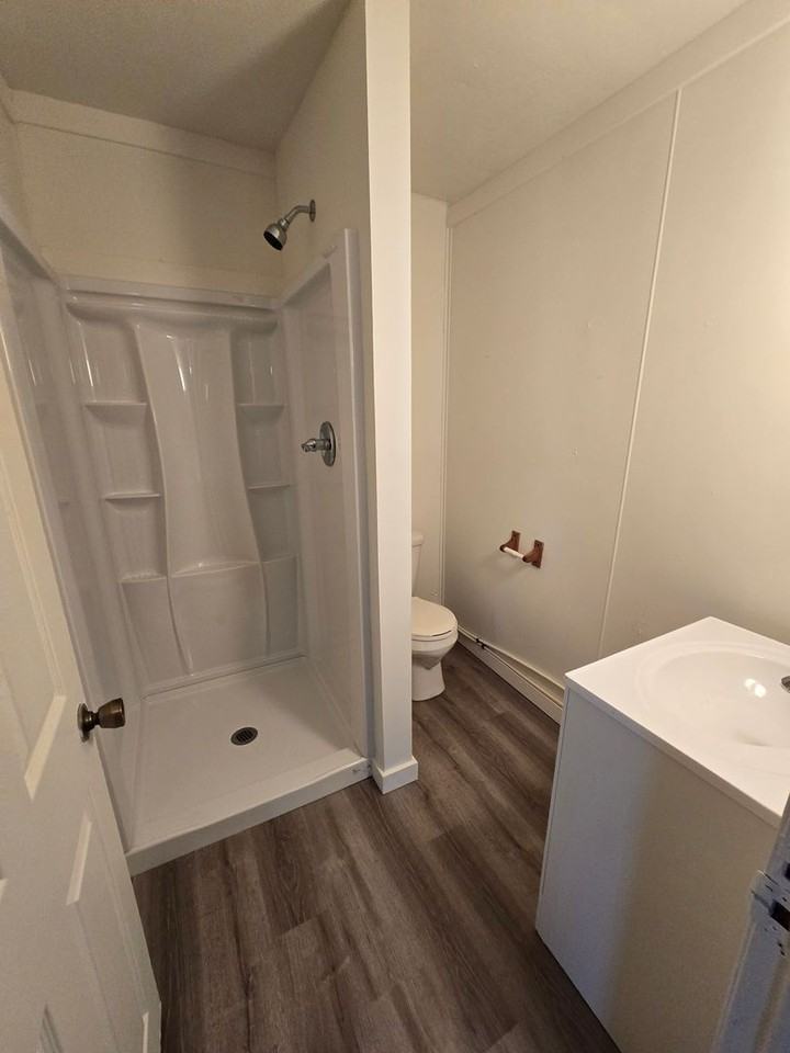 RENT SUX - 110 ALDERSON STREET - Photo 5 of 8