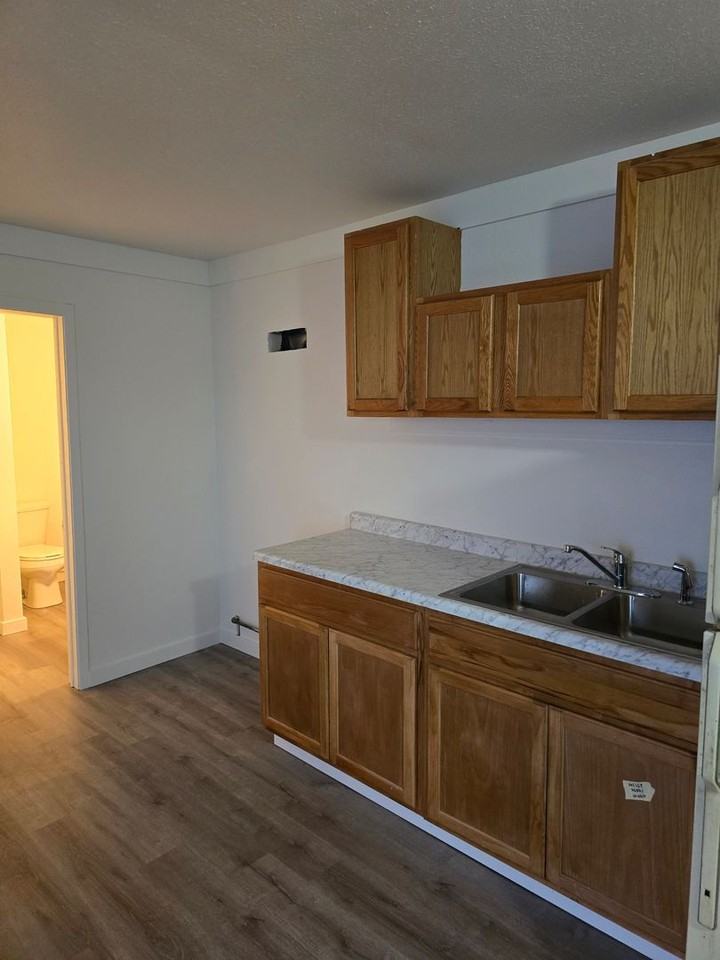 RENT SUX - 110 ALDERSON STREET - Photo 7 of 8